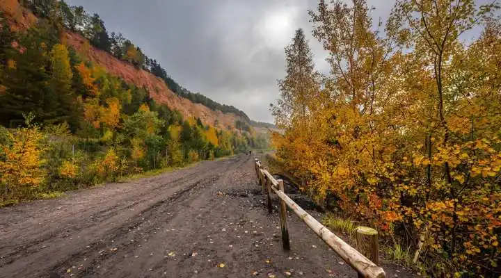Forêt en automne en Moselle Est pour un week-end nature