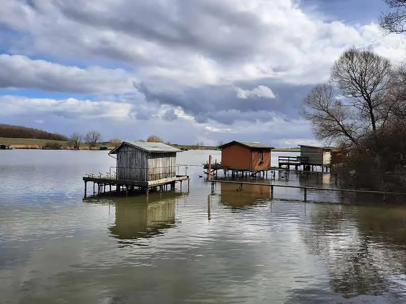 Étang en Moselle Est pour une balade nature